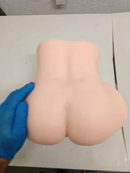 Lower torso