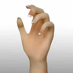 Articulated Fingers