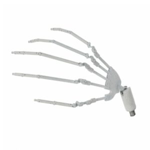 Ball Jointed Hand Skeleton