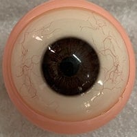 Full Movable Eye with Boodshot