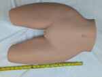 Lower half of the two-piece torso laid alongside measuring tape