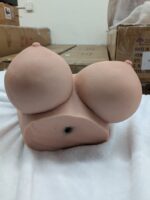 Actual upper breast section of two-piece torso, mounting surface photograph