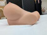 Actual upper breast section of two-piece torso, side photograph